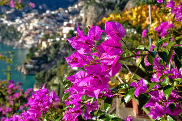 Obraz premium Flowers in the landscape of the Amalfi coast, Italy