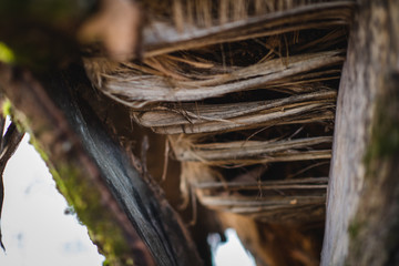 Wood texture, autumn mood