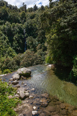 Fototapeta na wymiar Te Urewera National Park New Zealand. Tropic jungle.