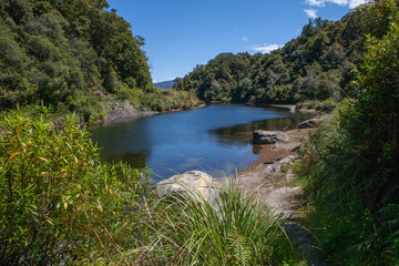 Naklejka na ściany i meble Te Urewera National Park New Zealand. Tropic jungle.Lake Waikaremoana