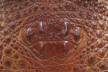 Leather with crocodile dressed texture