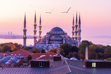 Fototapeta na wymiar Wonderful Sultan Ahmet Mosque or the Blue Mosque in the morning sun of Istanbul, Turkey