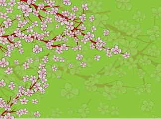 Sakura on light background. Sakura vector flower. Vector floral print. Blooming cherry blossom petals. Japanese culture. Floral design. Blooming tree. Banner template.