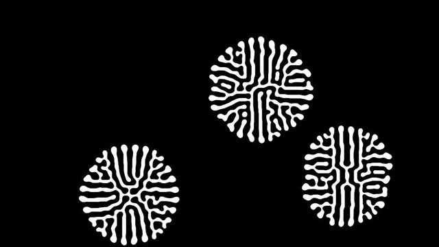 2d black and white reaction diffusion pattern. Organic natural shape. Simple science background.