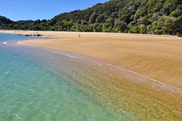 Beach and shoreline at Abel Tasman National Park, New Zealand