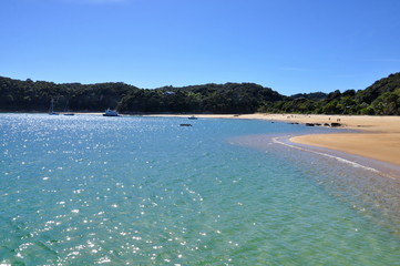 Beach and shoreline at Abel Tasman National Park, New Zealand