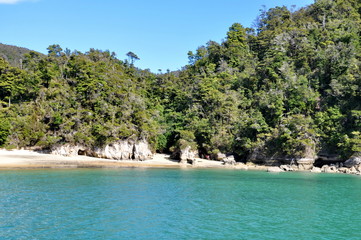 Beach and shoreline at Abel Tasman National Park, New Zealand