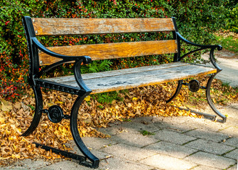 Rest break in Autumn