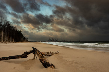 Piaszczysta plaża w burzowy wietrzny dzień, ciemne zachmurzone niebo. 