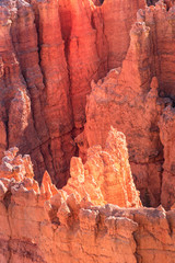 Fototapeta na wymiar bryce canyon
