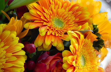 Golden yellow spring flowers composition with spring bokeh