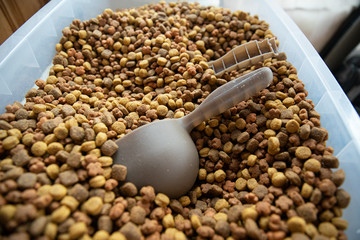 dog food kibble is ready to be scooped