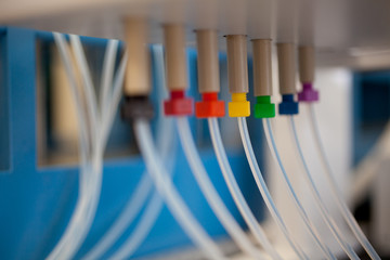 Color coded tubes in research laboratory