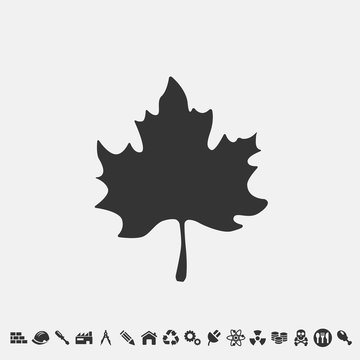 Canadian Maple Leaf Icon Vector For Web And Graphic Design