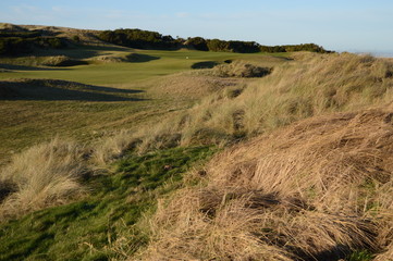 The Fife Coastal Walk at Kinsbarns on a sunny Scottish New Years Eve 2019