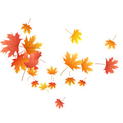 Maple leaves vector background, autumn foliage on white graphic design.