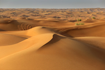 Fototapeta na wymiar Desertscape