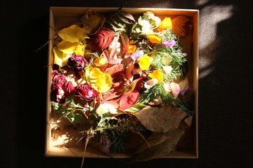 Dry multicolored leaves and flowers lit by a sunbeam. Flowers and leaves are in the cardboard box