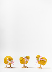 Easter Chickens on white background