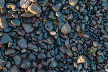 Fuerteventura, Canarias