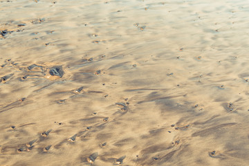 Fuerteventura, Canarias
