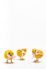 chicken easter group