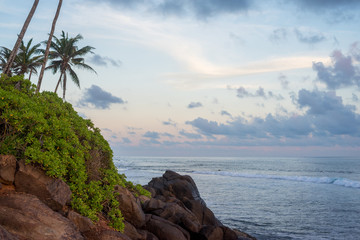 Tropical landscape in a sunset light