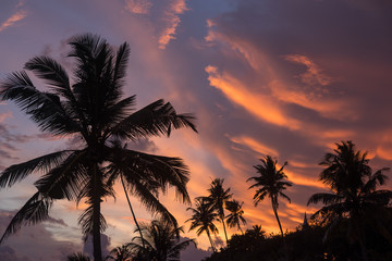 Fototapeta na wymiar Amazing sunset sky above the jungle