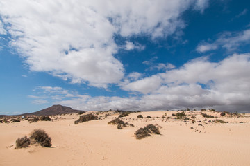 Fototapeta na wymiar Fuerteventura, Canarias España