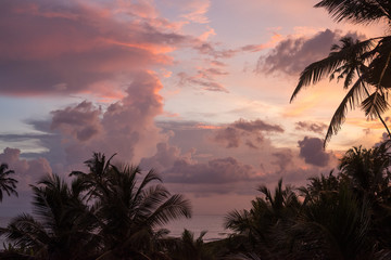 Amazing sunset sky above the jungle and ocean