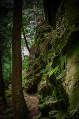 Hocking Hills Gorge