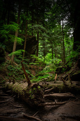 Hocking Hills Conkle's Hollow Gorge