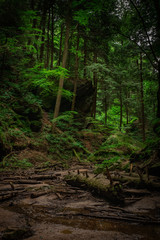 Fototapeta premium Hocking Hills Conkle's Hollow Gorge