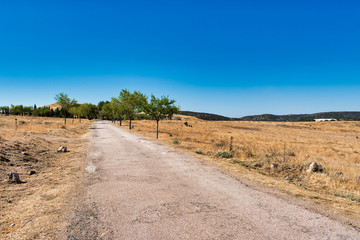 Camino rural
