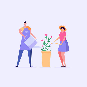 Romantic man and woman water and care for the rose flower. Happy couple with skissors works in garden. Concept of garden tools, gardening family, plants growing. Vector illustration in flat design