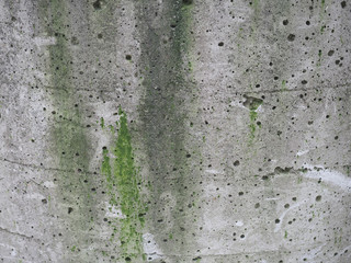 weathered grey concrete with moss texture background