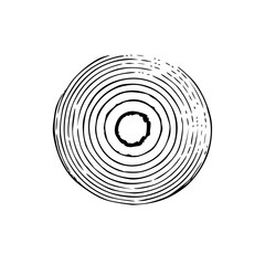 Tree trunk with rings. Annual tree growth rings. vector illustration isolated on white background.