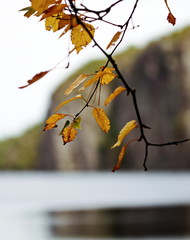 Bon Echo rock in Ontario. Natural rock formation on a lake in Canada.