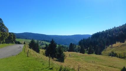 Im Schwarzwald