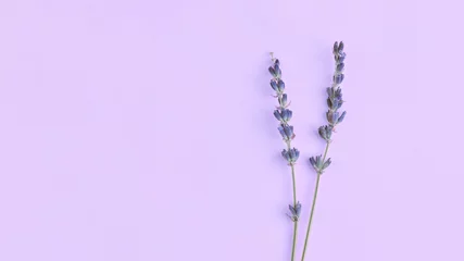 Rolgordijnen boeket van violet lila paarse lavendel bloemen gerangschikt op tabelachtergrond. Bovenaanzicht, plat lag mock up, kopieer ruimte. Minimaal achtergrondconcept. Droge bloem bloemen samenstelling geïsoleerd. Wellness huidverzorging. © raisondtre