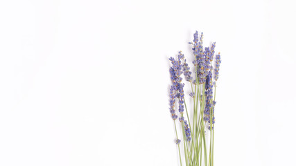 bouquet of violet lilac purple lavender flowers arranged on white table background. Top view, flat lay mock up, copy space. Minimal background concept. Dry flower floral composition isolated on white.