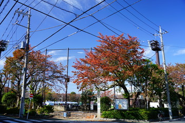 Obraz premium 城北交通公園 公園 入口 志村 志村三丁目 板橋 東京