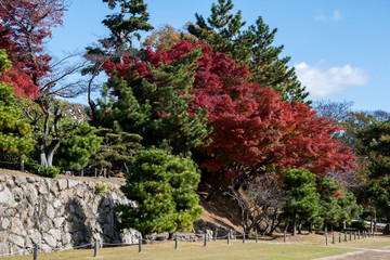 Front garden of Himeji castle with blue sky in autumn