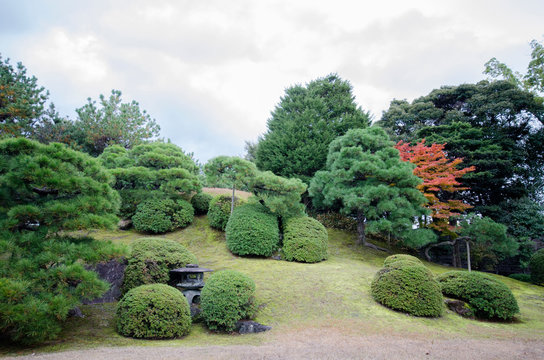 Beautiful Japanese garden inside Nijo Castle in Kyoto