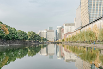 東京都千代田区千代田の皇居周辺の風景