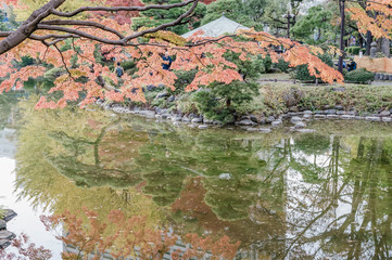 東京都千代田区日比谷にある都心にある公園の紅葉