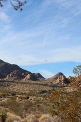 At the eastern margin of the Little San Bernardino Mountains dwells Indian Cove of Joshua Tree National Park, which provides habitat for native Southern Mojave Desert ecology.