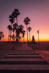 Crosswalk and palm trees at sunset, in Venice Beach, Los Angeles, California