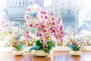 Fototapete Three pots of white and pink beautiful orchids on the windowsill on a Sunny day overlooking the city and the blue sky. © amtiko