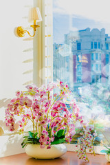 Pot of white and pink beautiful orchids on the windowsill on a Sunny day overlooking the city and the blue sky.